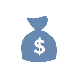 Income Icon